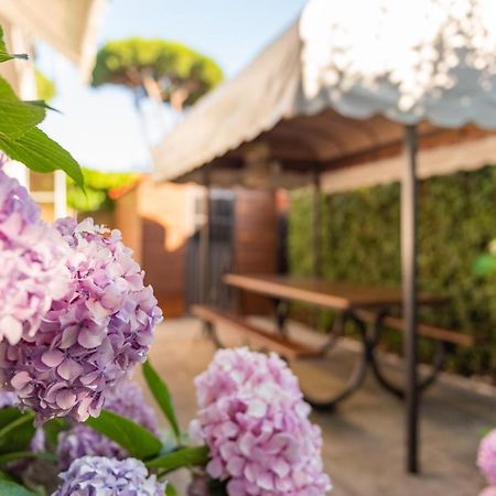 Apartment Holiday Versilia 卡麦奥雷 外观 照片