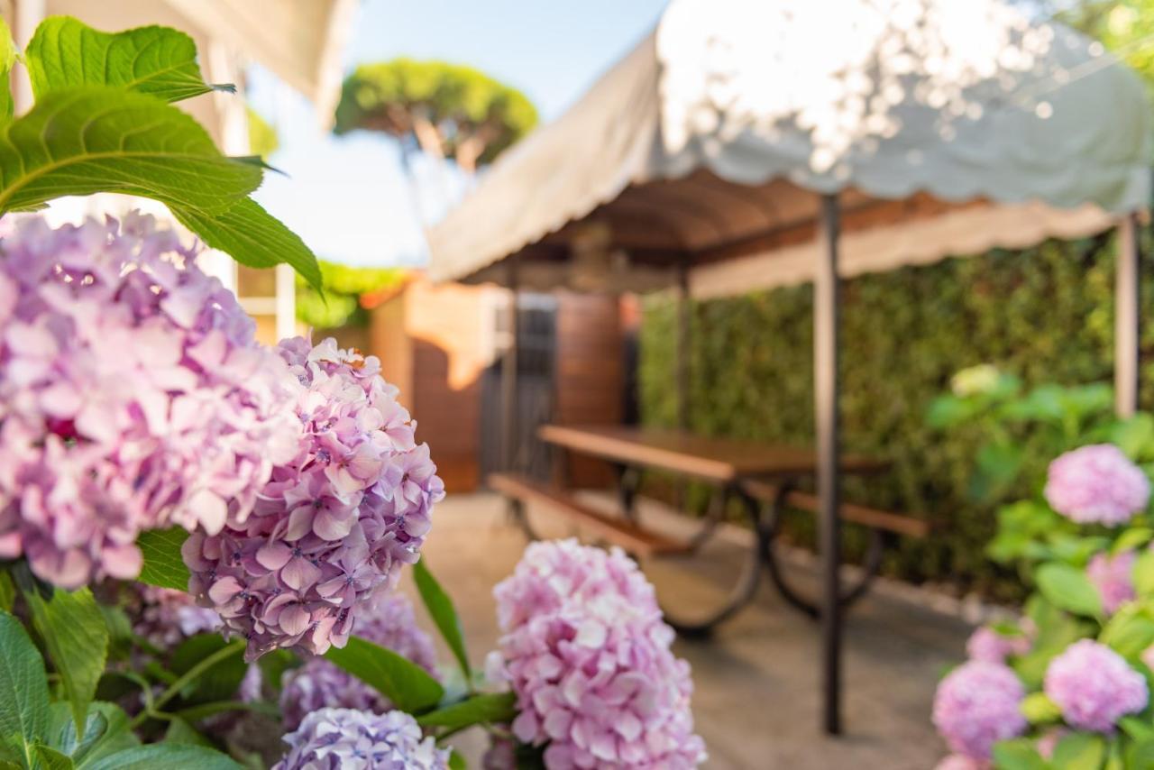 Apartment Holiday Versilia 卡麦奥雷 外观 照片